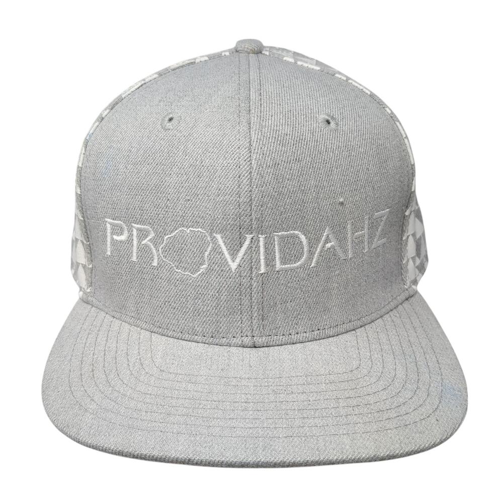 Providahz Snapback Hat Gray One Size Adjustable Embroidered Double Portion